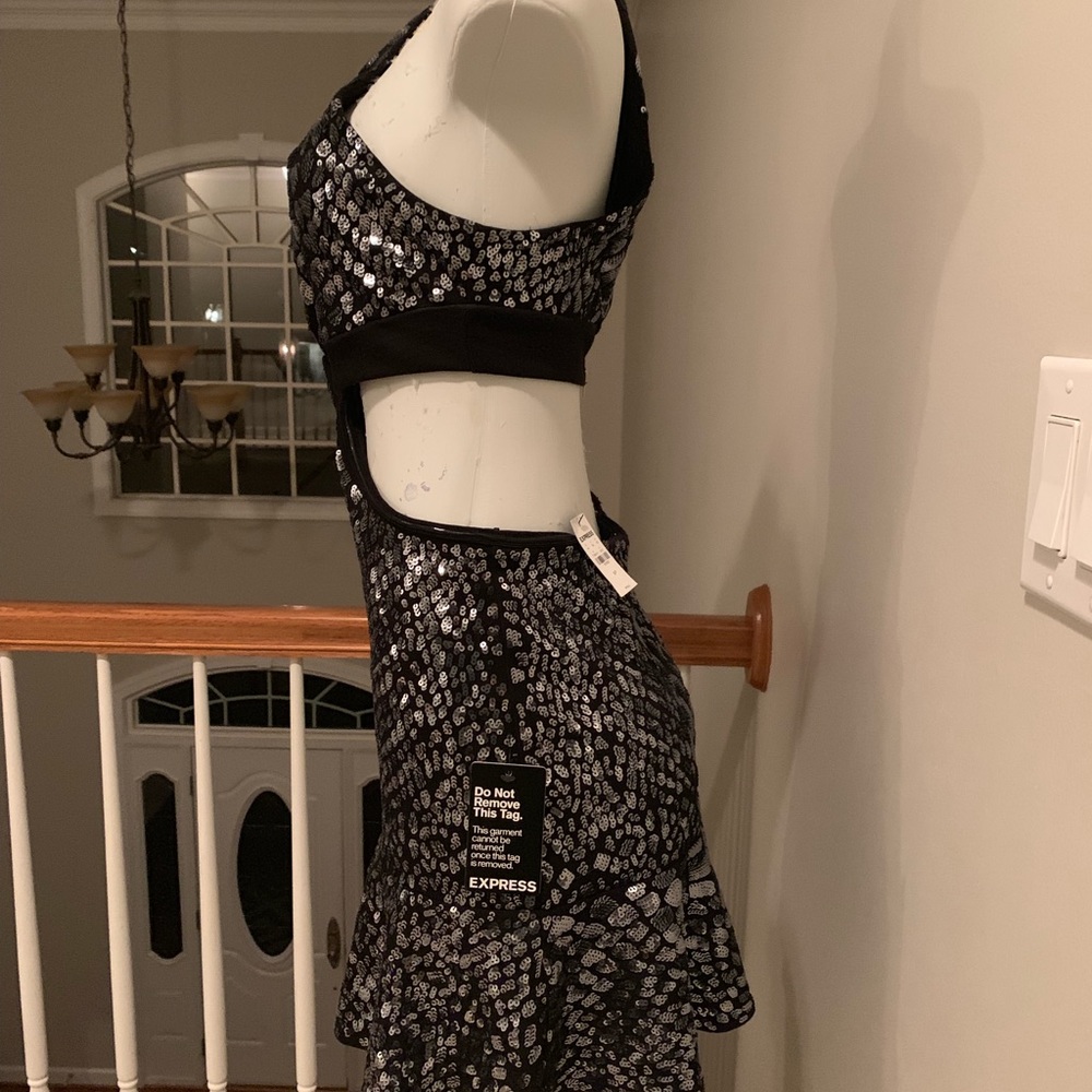 Express Dress - Picture 2 of 4